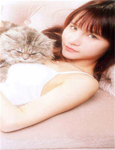 《女人与拘猛交髙清播放免费》