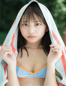 《桐柏英雄 电视剧》